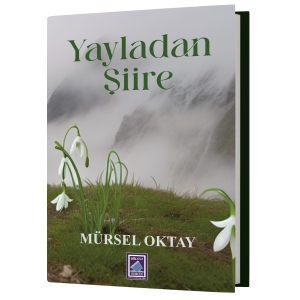 Yayladan Şiire